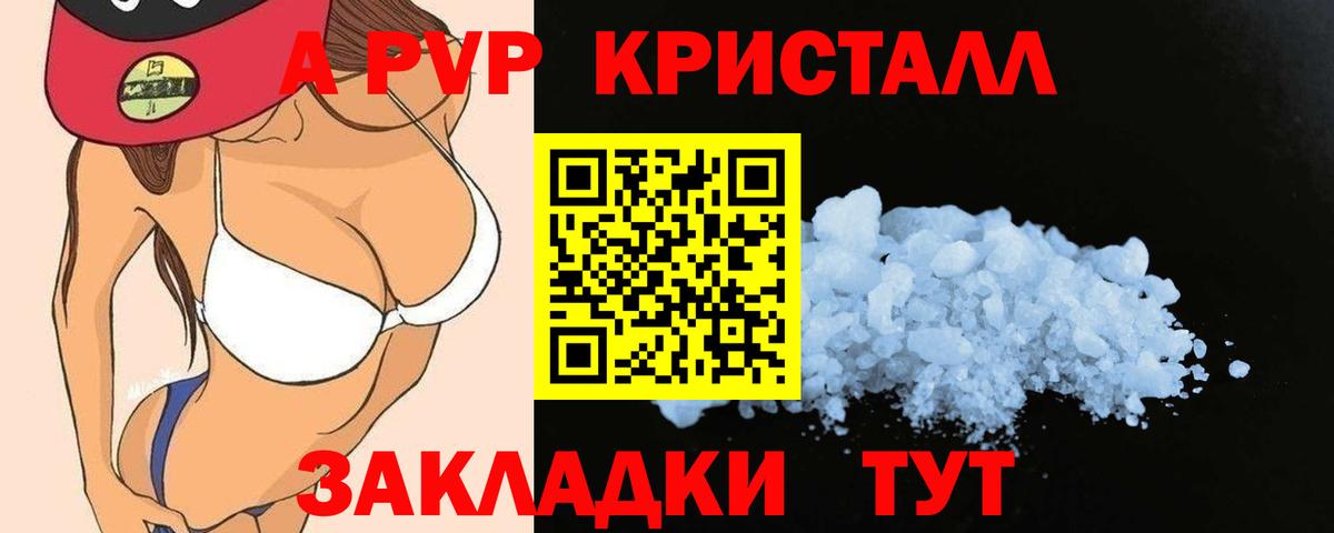 Alfa_PVP СК Тосно