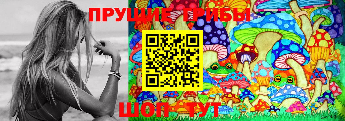 Тосно  Галлюциногенные грибы мицелий  Вход с VPN 